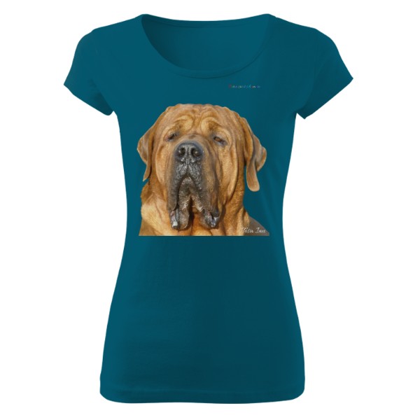 Pride has four paws. T-shirt